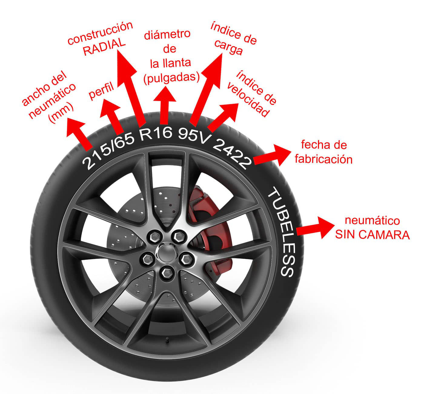 neumáticos