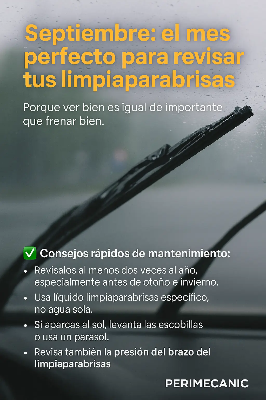 limpiaparabrisas